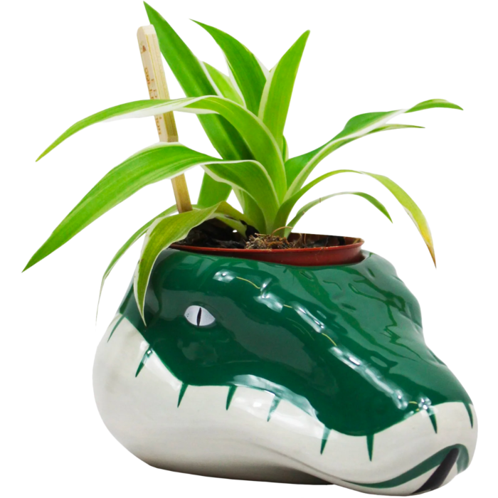 Harry Potter - Slytherin Serpent Mascot Plant Pot by Half Moon Bay |  Popcultcha