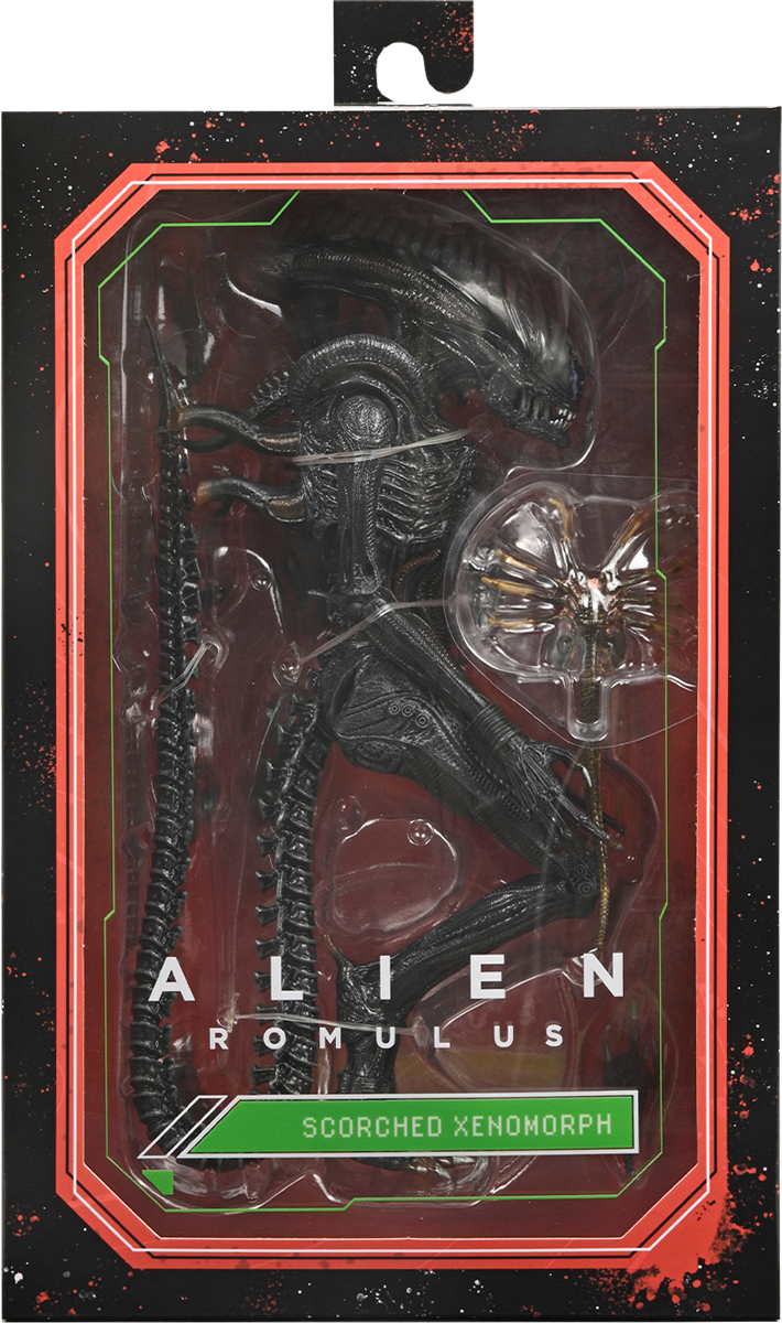 Alien: Romulus (2024) - Scorched Xenomorph Ultimate 7'' Scale