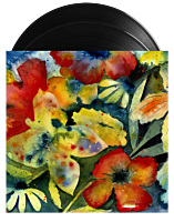 Adrianne Lenker - Songs and Instrumentals 2xLP Vinyl Record