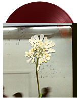 Daughter - Stereo Mind Game LP Vinyl Record (Coloured Eco-Vinyl)
