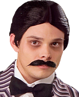 The Addams Family - Gomez Addams Adult Wig & Moustache (One Size Fits Most)