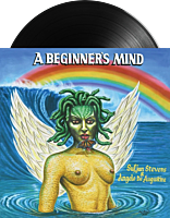 Sufjan Stevens & Angelo De Augustine - A Beginner's Mind LP Vinyl Record