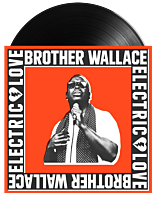 Brother Wallace - Electric Love LP Vinyl Record