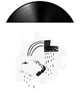 Damien Jurado - In The Shape Of A Storm LP Vinyl Record