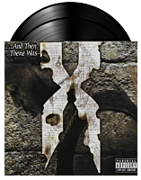 DMX - ... And Then There Was X 2xLP Vinyl Record