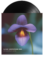 DJ Cam - Underground Vibes 30th Anniversary LP Vinyl Record