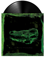 Avey Tare - Down There LP Vinyl Record