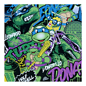 Teenage Mutant Ninja Turtles - Leonardo 12" x 12" Art Print by Alex Lehours