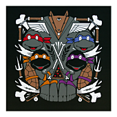 Teenage Mutant Ninja Turtles - Skull 12" x 12" Art Print by Jeremy Fish