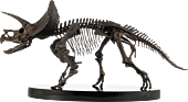 Jurassic Park (1993) - Triceratops Fossil Bronze 1/12th Scale Maquette Statue