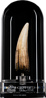 Jurassic Park III - Spinosaurus Tooth 1:1 Scale Prop Replica