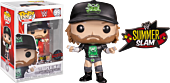 WWE - Triple H in D-Generation X Summerslam 2009 Pop! Vinyl Figure with Enamel Pin