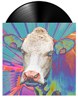 Eyes of Others - Eyes of Others LP Vinyl Record