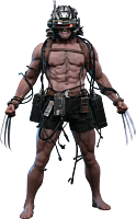 X-Men - Weapon X 1/6th Scale Hot Toys Action Figure