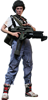 Aliens (1986) - Ellen Ripley 1/6th Scale Hot Toys Action Figure