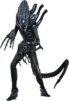 Aliens (1986) - Alien Warrior 1/6th Scale Hot Toys Action Figure