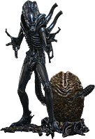 Aliens (1986) - Alien Warrior Deluxe 1/6th Scale Hot Toys Action Figure