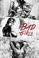 DC Comics - Bad Girls Black & White Poster (223)