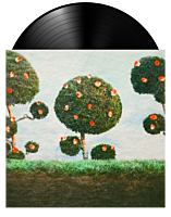 Midnight Sister - Painting The Roses LP Vinyl Record