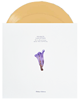 Sharon Van Etten - We’ve Been Going About This All Wrong Deluxe 2xLP Vinyl Record (Custard Coloured Vinyl)
