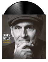 James Taylor - American Standard LP Vinyl Record