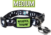 Beetlejuice - Sandworm Nylon Dog Collar (Medium)
