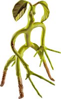Fantastic Beasts and Where to Find Them - Bowtruckle 6" Bendable Figure