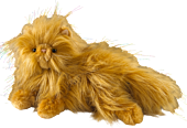 Harry Potter - Crookshanks Plush