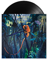 Bonnie Prince Billy - We Are Together Again LP Vinyl Record