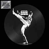 David Bowie - The Man Who Sold The World LP Vinyl Record (Picture Disc)