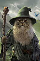 The Lord of the Rings - Catdalf Poster (290)