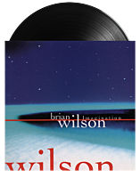 Brian Wilson - Imagination LP Vinyl Record (2026 Record Store Day Exclusive)