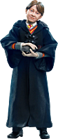 Harry Potter - Ron Weasley Halloween Version 1/6th Scale Action Figure