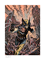 X-Men - Wolverine Fine Art Print by Vincenzo Riccardi