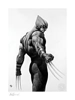 X-Men - Wolverine - Black & White Variant Fine Art Print by Adi Granov