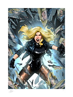 DC Comics - Black Canary Fine Art Print by Taurin Clarke