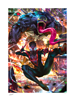 Spider-Man - Venom Fine Art Print by Derrick Chew and Sideshow