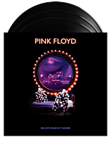 Pink Floyd - Delicate Sound Of Thunder 3xLP Vinyl Record
