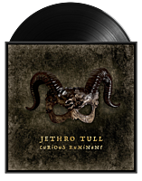 Jethro Tull - Curious Ruminant LP Vinyl Record