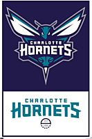 NBA Basketball - Charlotte Hornets Logo Poster (308)
